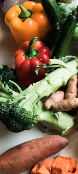 consultoria-agroalimentaria-agroform2