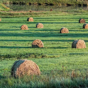 seguro-perdida-pastos-agroform