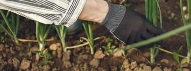 Cumplimiento- normativo