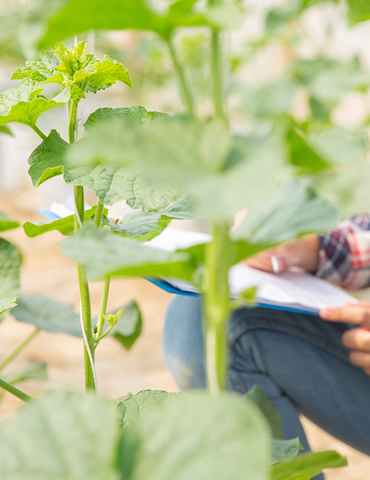 agroform-consultaria-formacion-quienes-somos-1