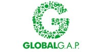 icono-global-gap