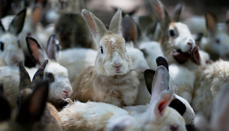 seguro-tarifa-general-desc