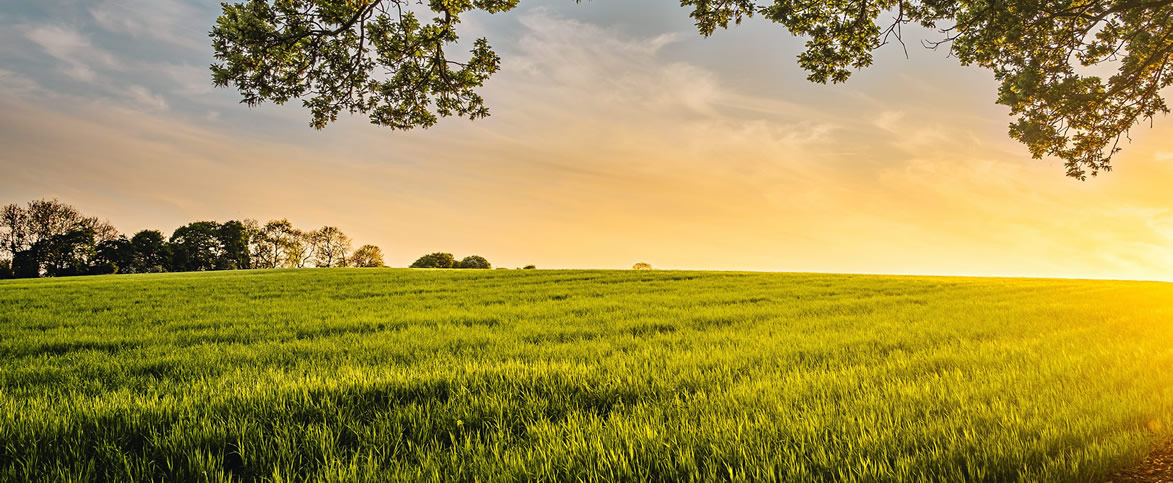 slider-1-agroform-consultoria-formacion-ingeneria